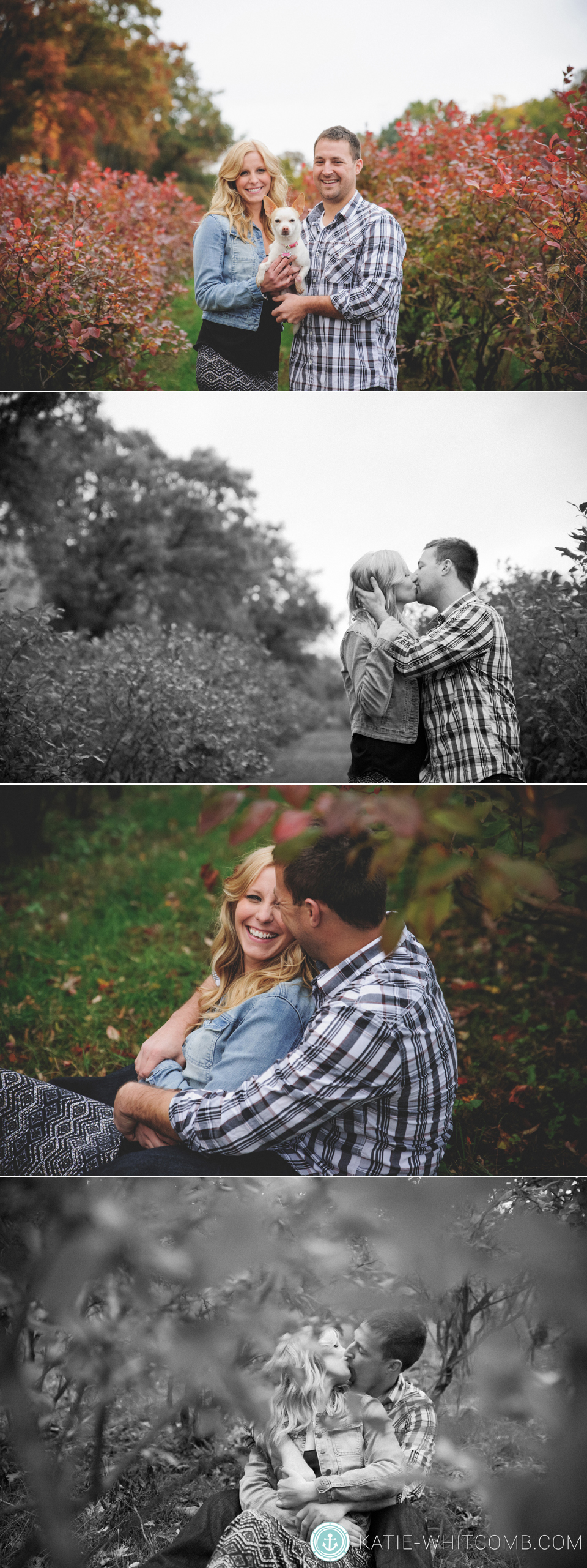 fall engagement session in a blueberry field in south bend, indiana