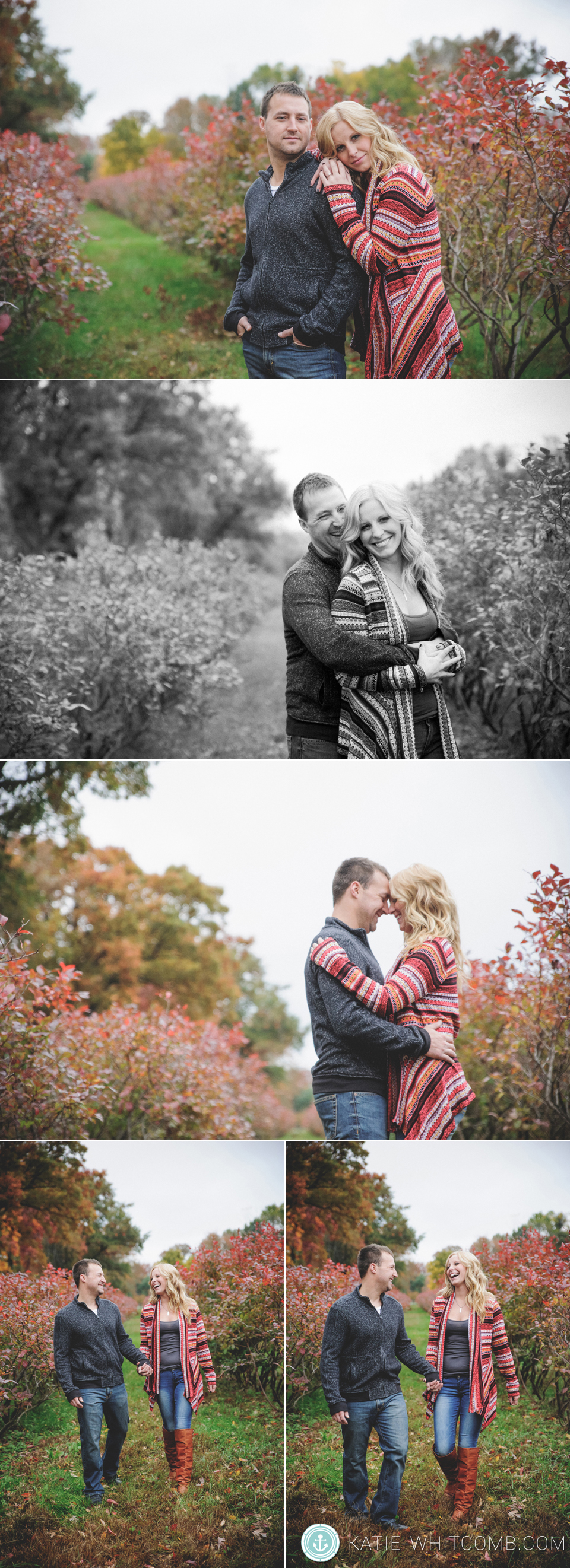 fall engagement session in a blueberry field in south bend, indiana