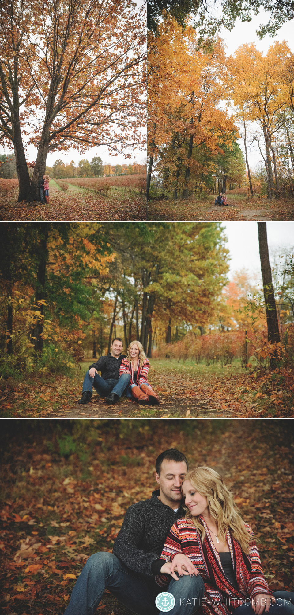 fall engagement session in a blueberry field in south bend, indiana