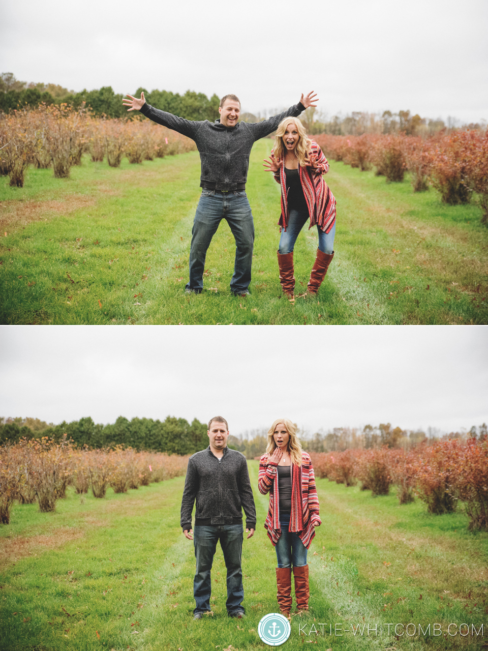 fall engagement session in a blueberry field in south bend, indiana