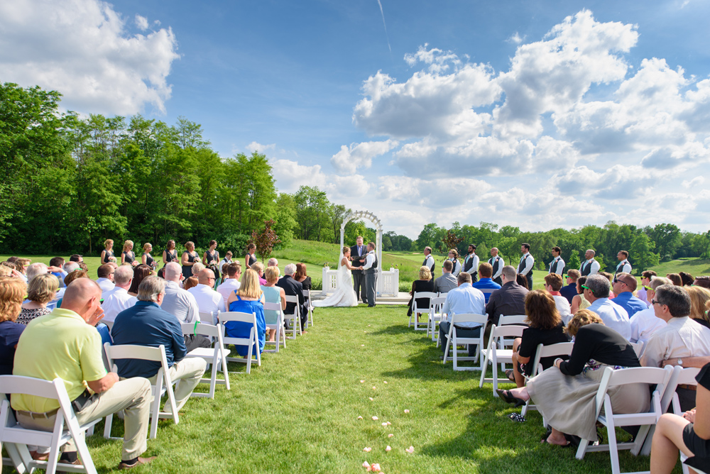 mint wedding ceremony blue heron