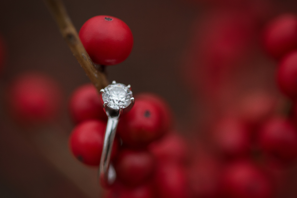 University of Notre Dame Winter Engagement Session