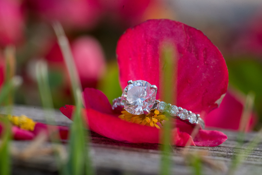 University of Notre Dame Spring Engagement Session Photos