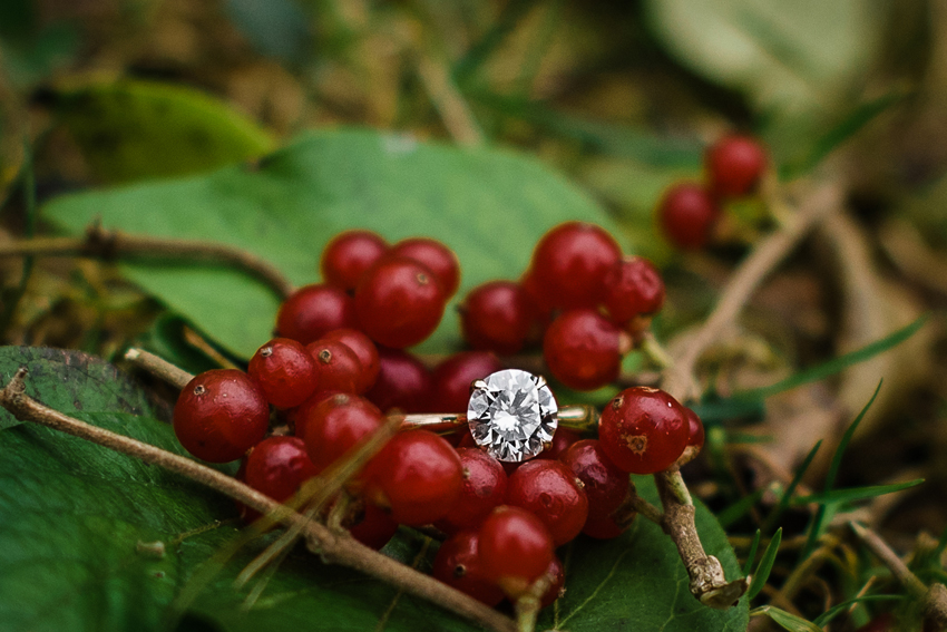 Saint Patricks Park Winter Engagement Photos