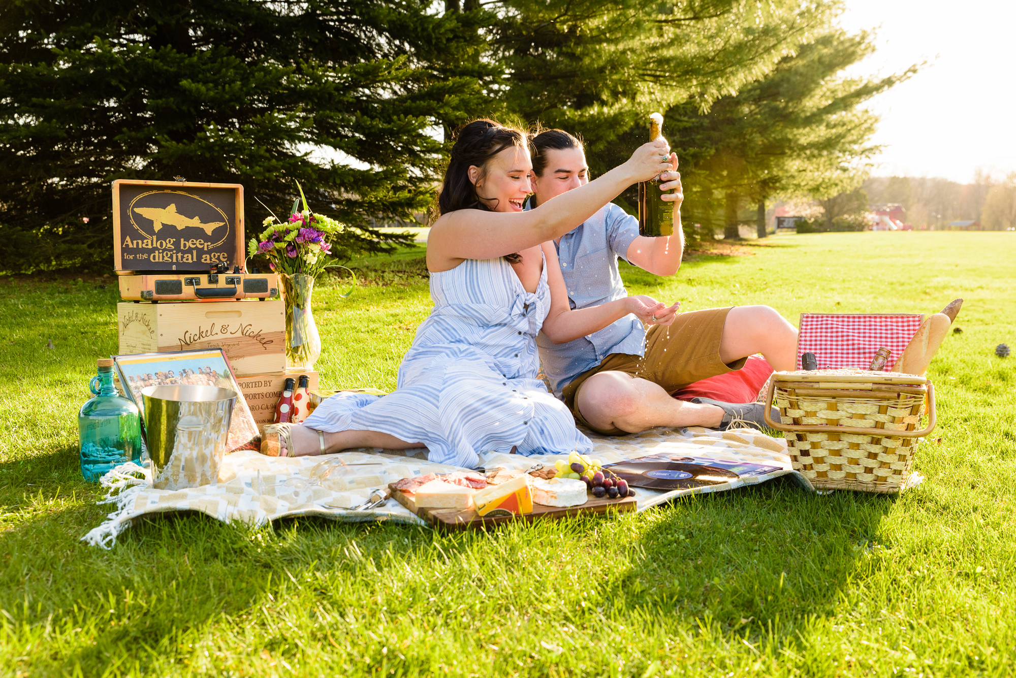 picnic styled engagement session at St Patrick's Park