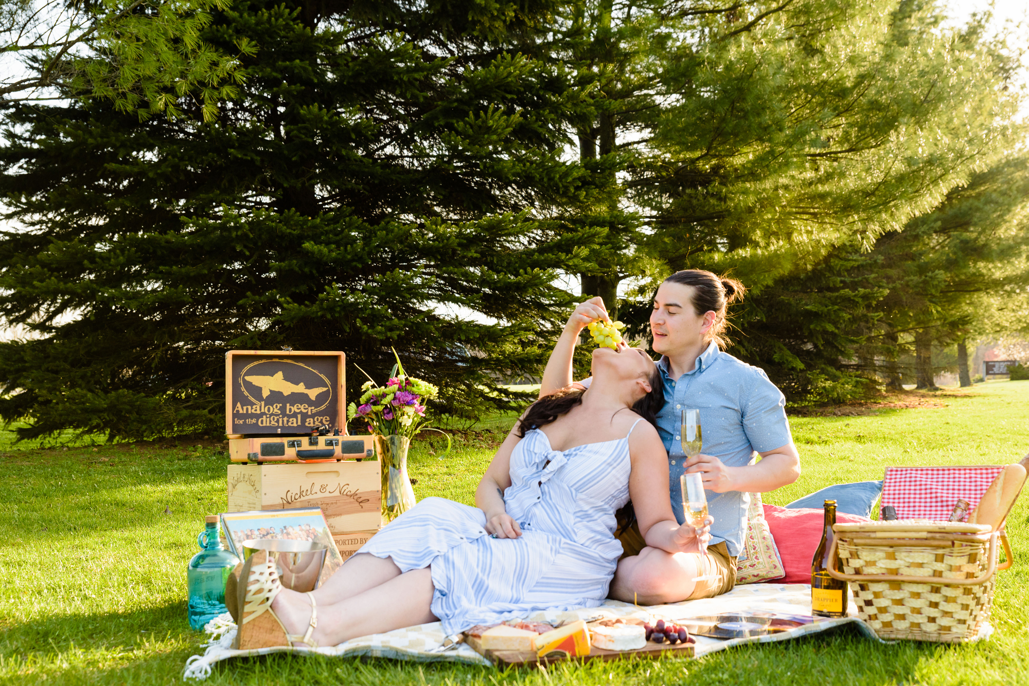 picnic styled engagement session at St Patrick's Park