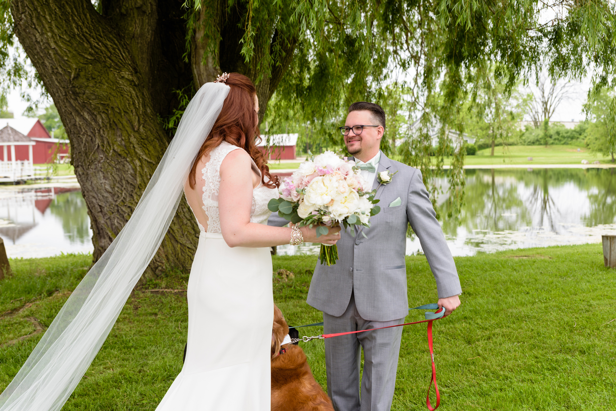 Bride & Groom do a first look with their dogs before their wedding at Amish Acres