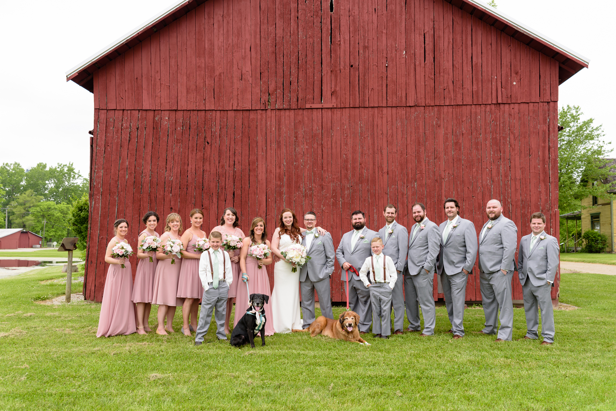 Bridal Party with dogs at a wedding at Amish Acres