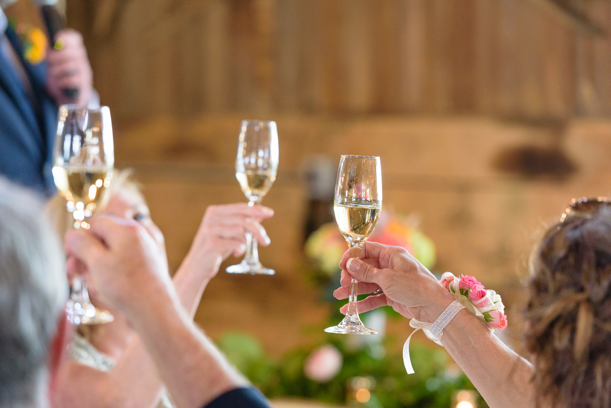 Toasts at a Wedding reception at the Homestead 1835