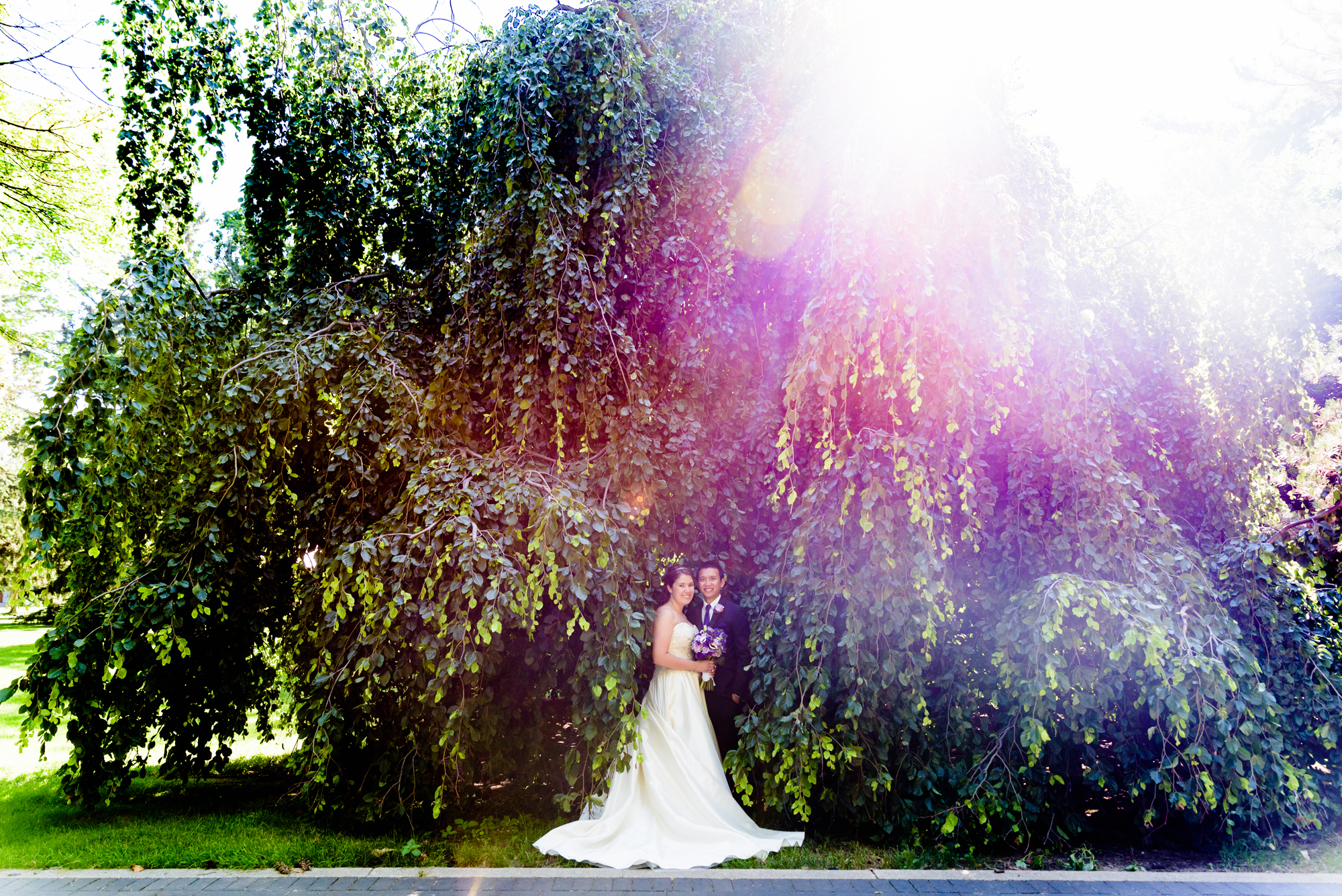 Bride & Groom in front of an exotic California inspired tree after their wedding ceremony at the Basilica of the Sacred Heart on the campus of the University of Notre Dame