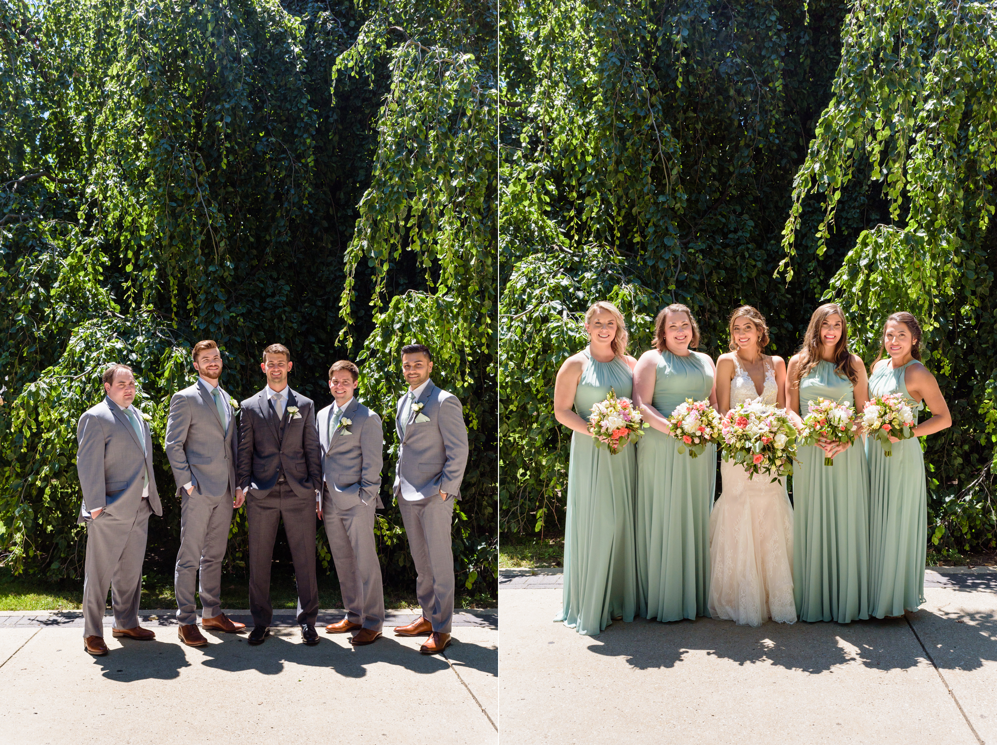 Bridal Party in front of an exotic California inspired tree after a wedding ceremony at the Basilica of the Sacred Heart on the campus of the University of Notre Dame