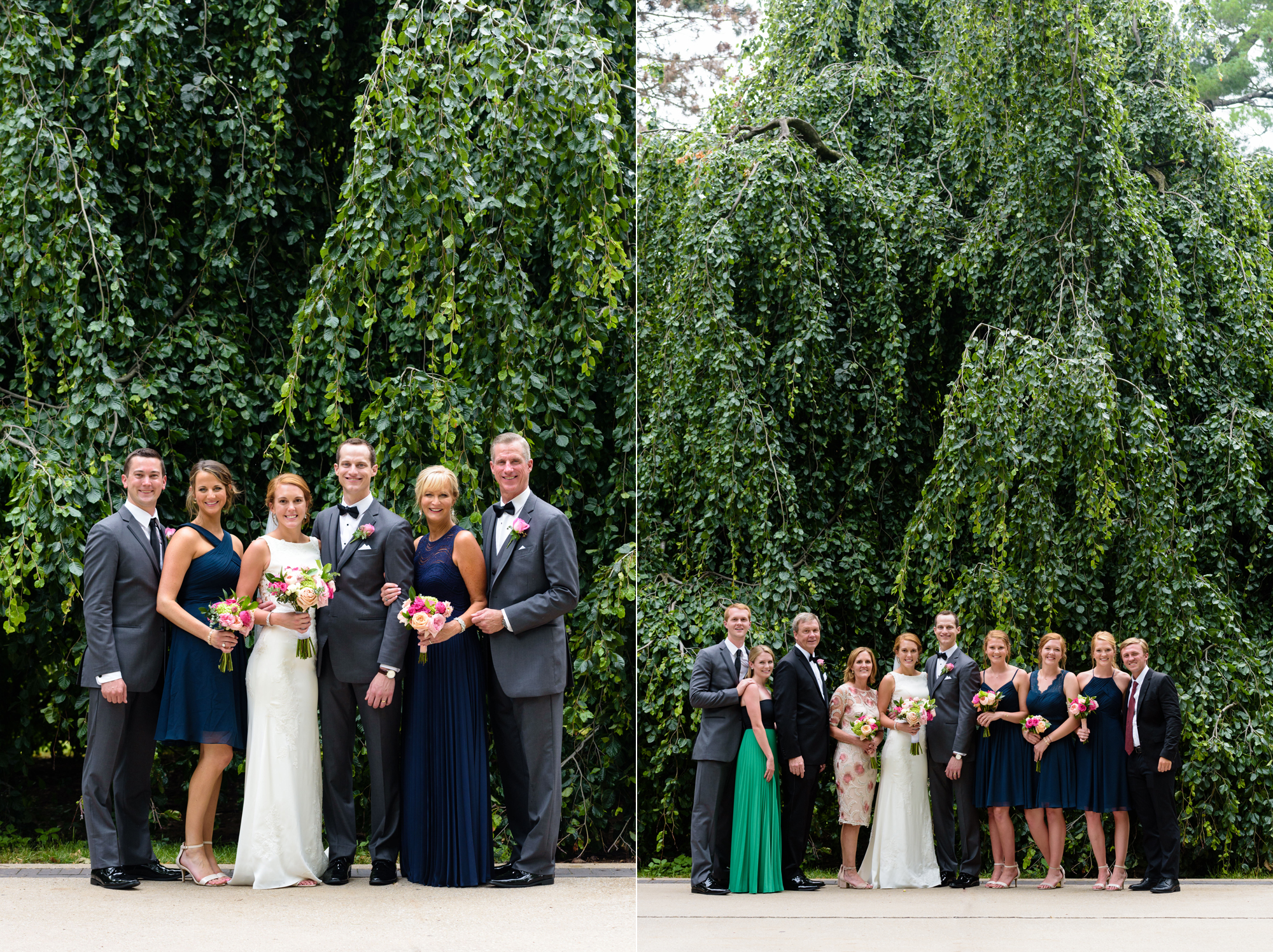 Family Portraits in front of an exotic California inspired tree after a wedding ceremony at the Basilica of the Sacred Heart on the campus of the University of Notre Dame