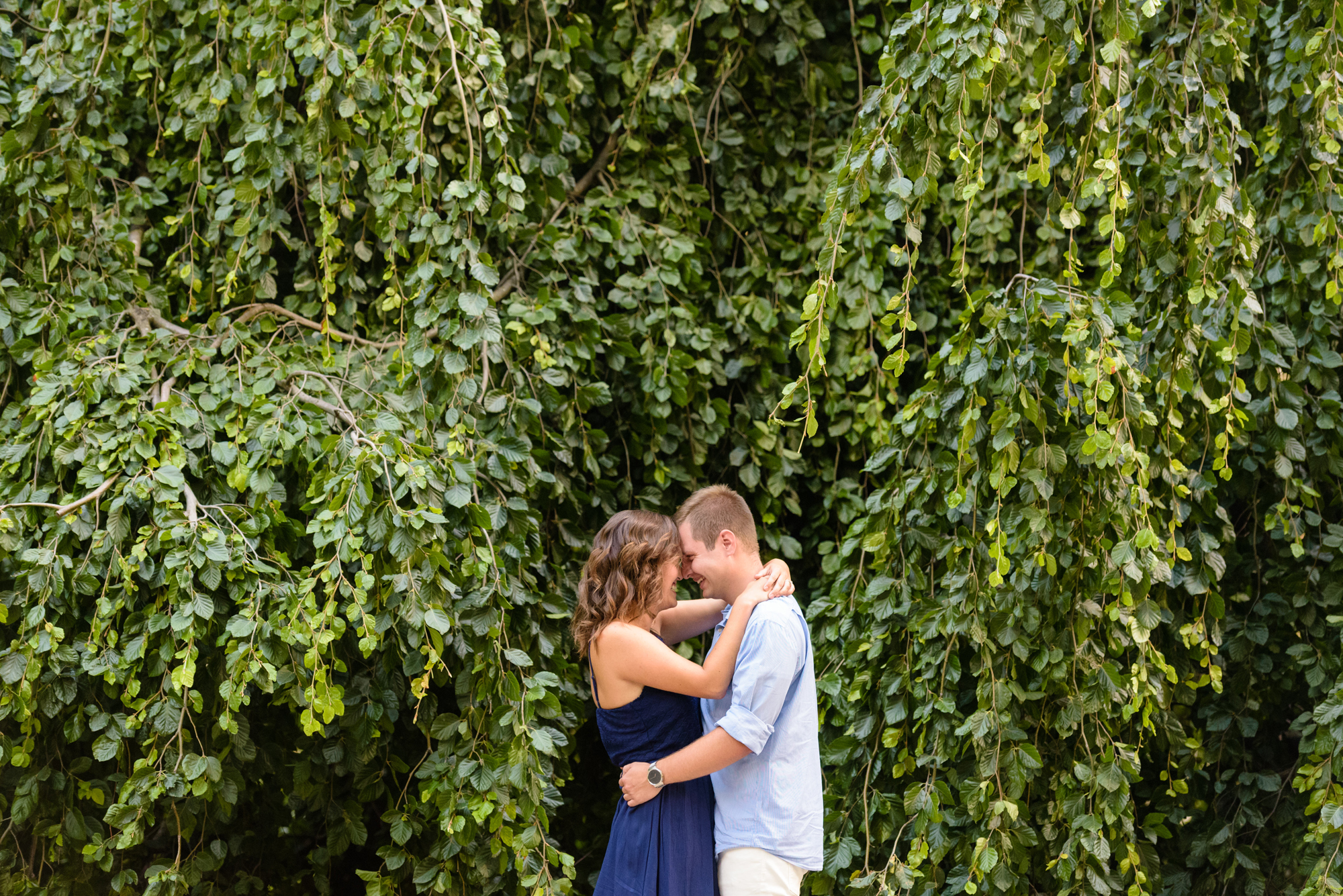 Engaged couple in front of an exotic California inspired tree on the campus of the University of Notre Dame