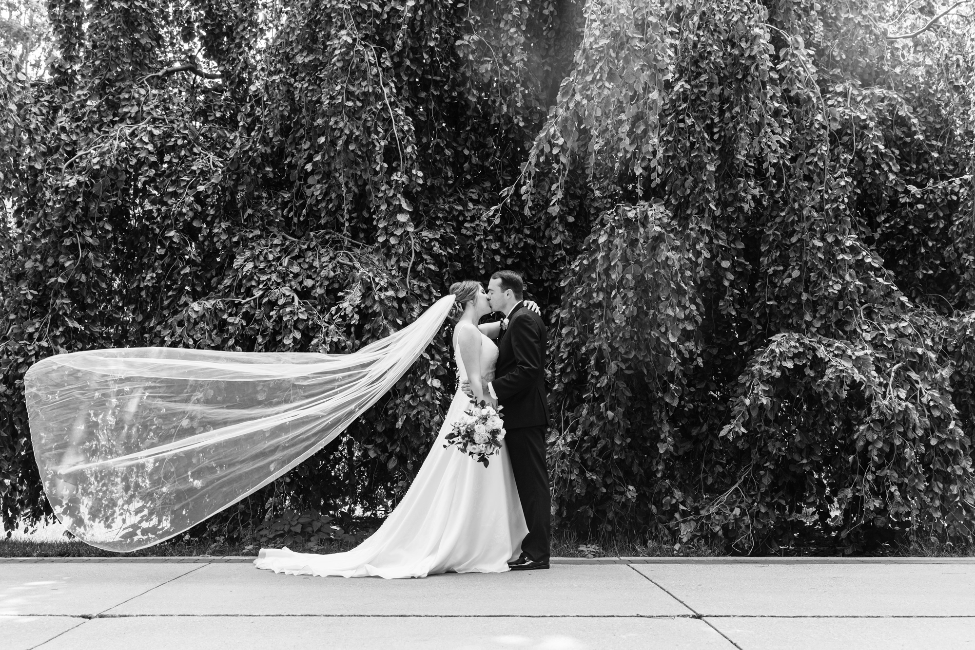 Bride & Groom in front of an exotic California inspired tree after their wedding ceremony at the Basilica of the Sacred Heart on the campus of the University of Notre Dame