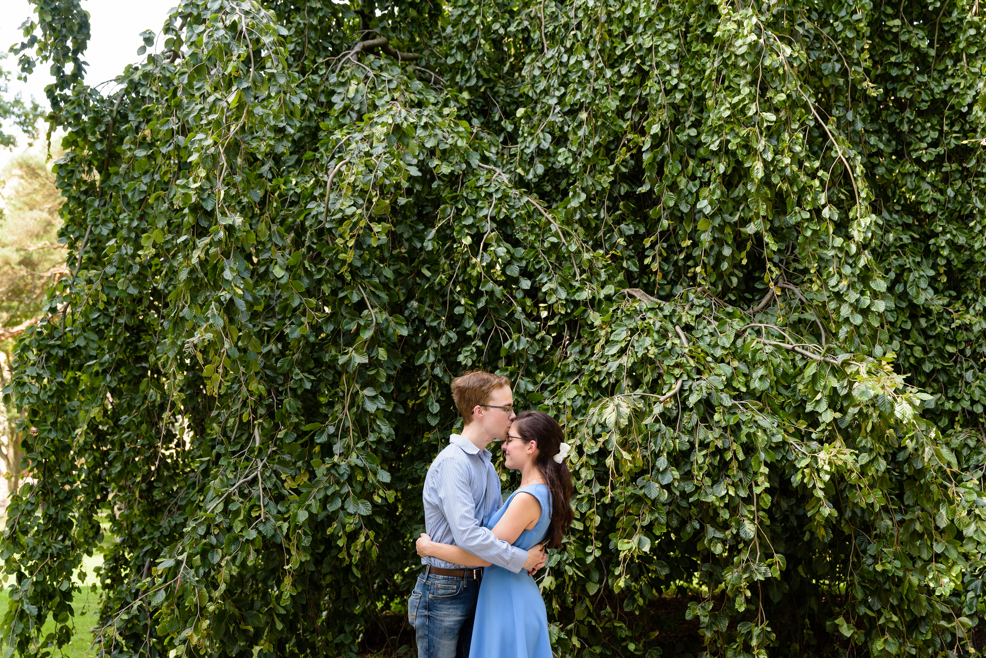 Engaged couple in front of an exotic tree on God Quad on the campus of the University of Notre Dame