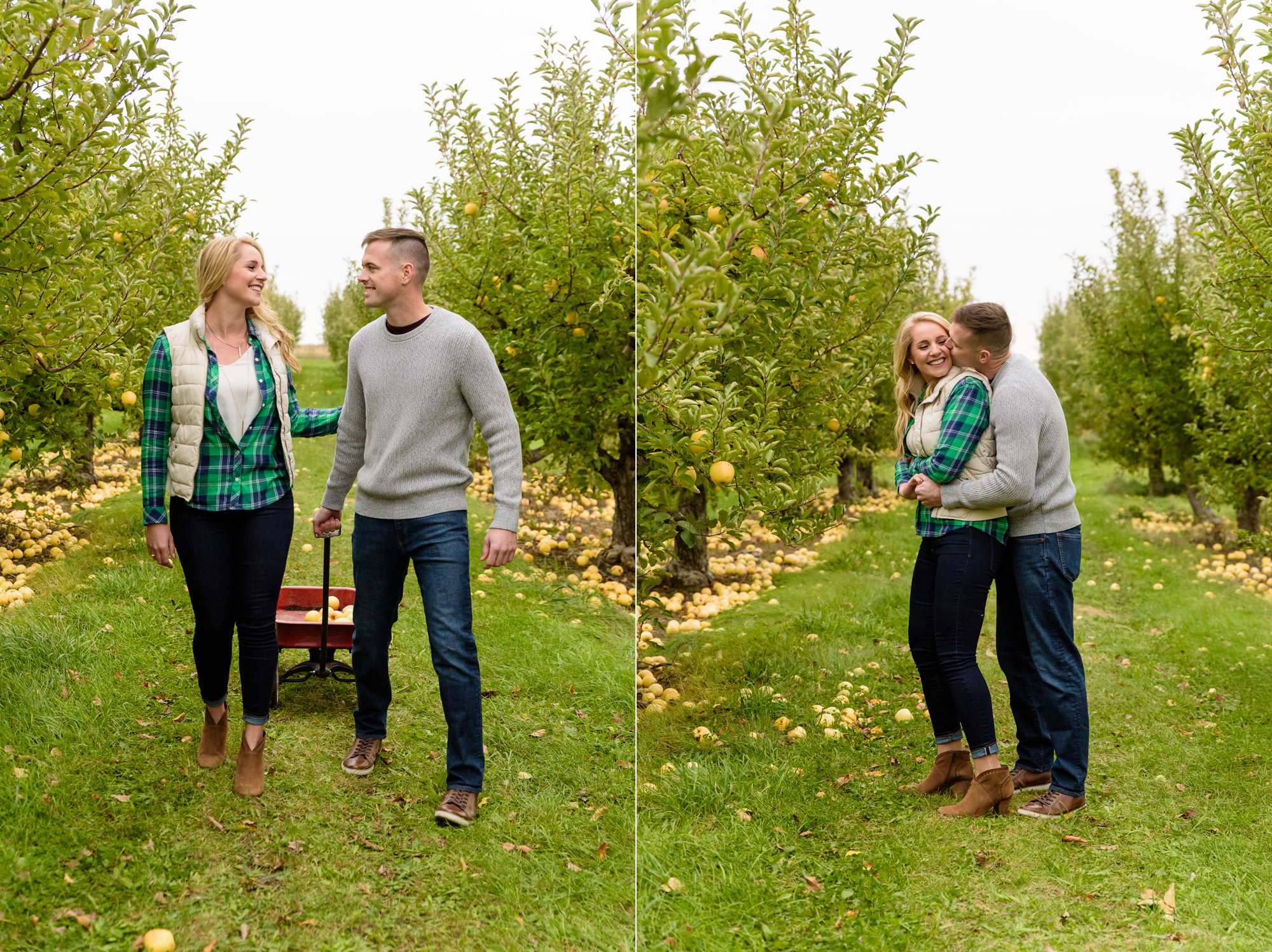 Engaged couple picking apples at Curtis Orchard and Pumpkin Patch in Champaign, IL