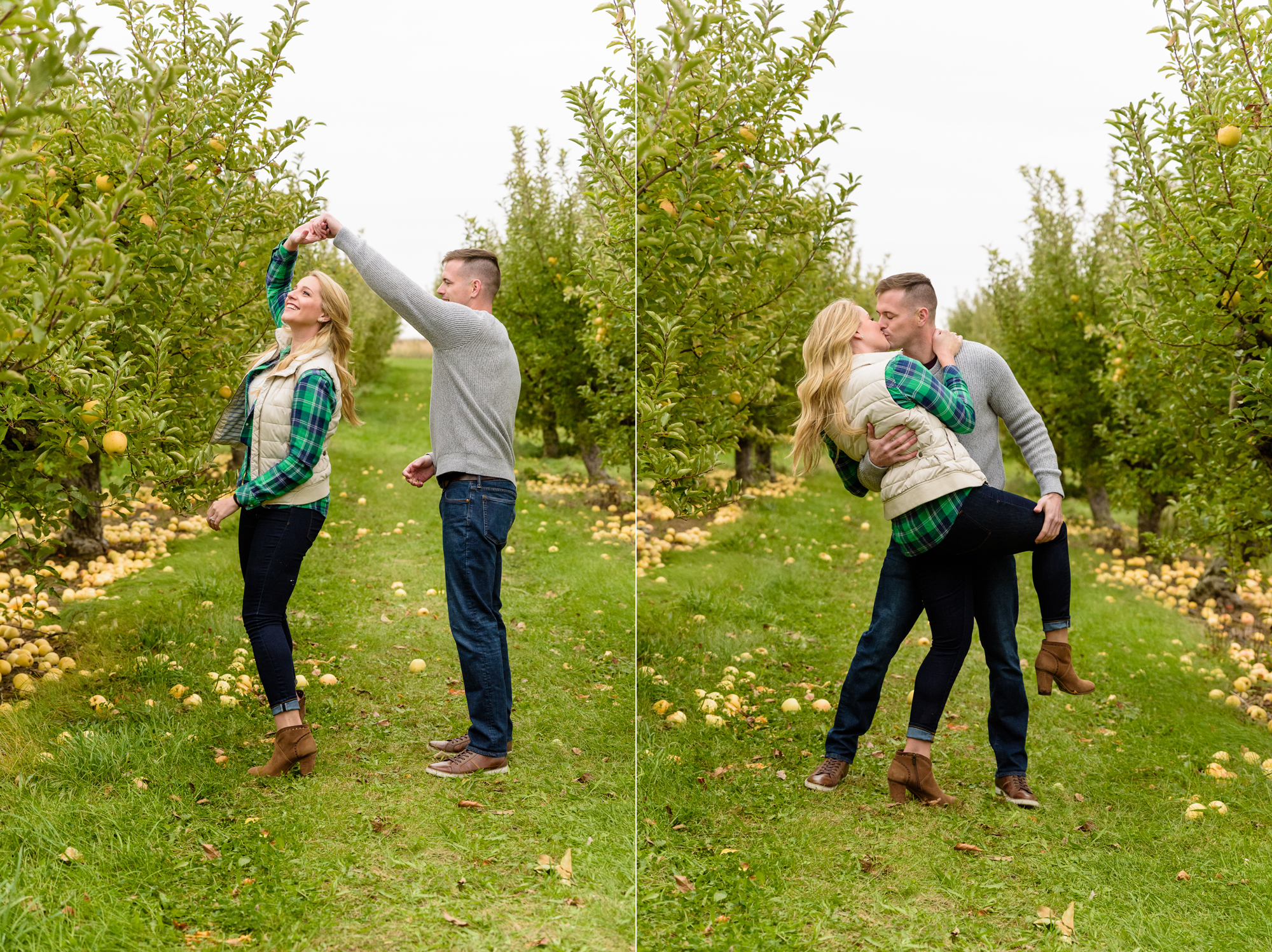 Engaged couple picking apples at Curtis Orchard and Pumpkin Patch in Champaign, IL