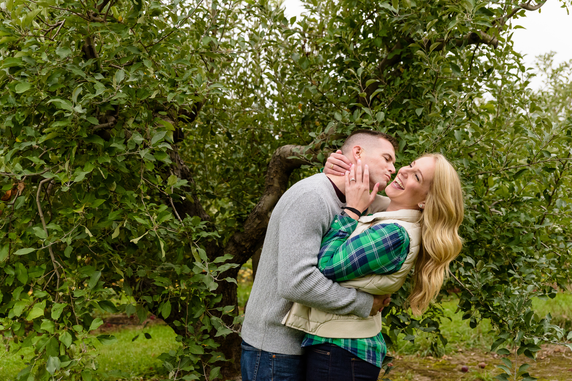 Engaged couple picking apples at Curtis Orchard and Pumpkin Patch in Champaign, IL