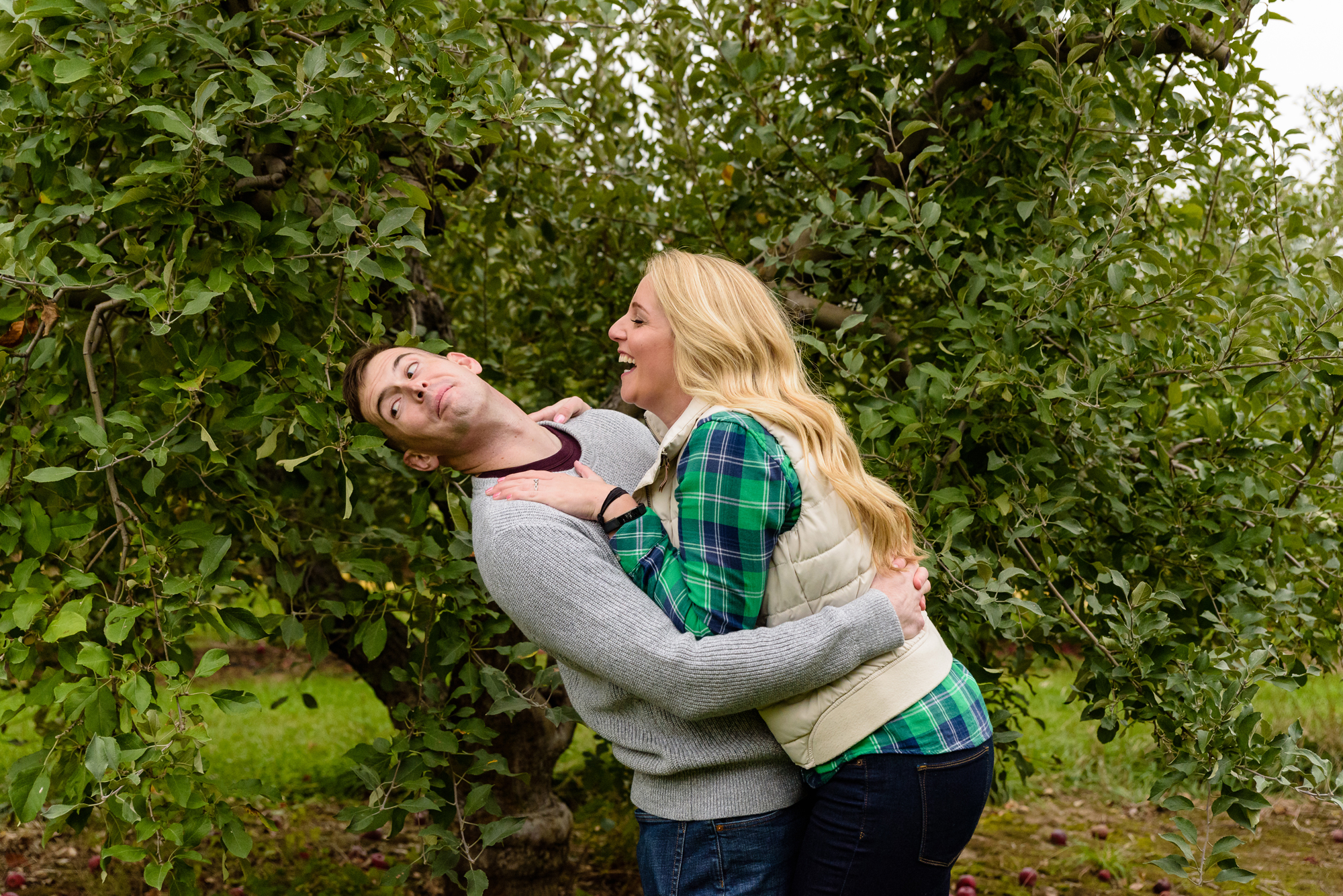 Engaged couple picking apples at Curtis Orchard and Pumpkin Patch in Champaign, IL