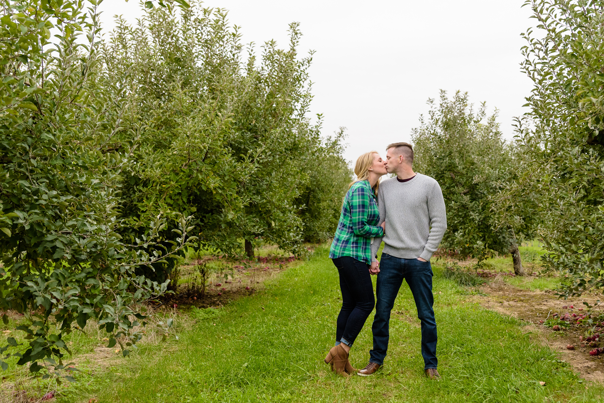 Engaged couple picking apples at Curtis Orchard and Pumpkin Patch in Champaign, IL