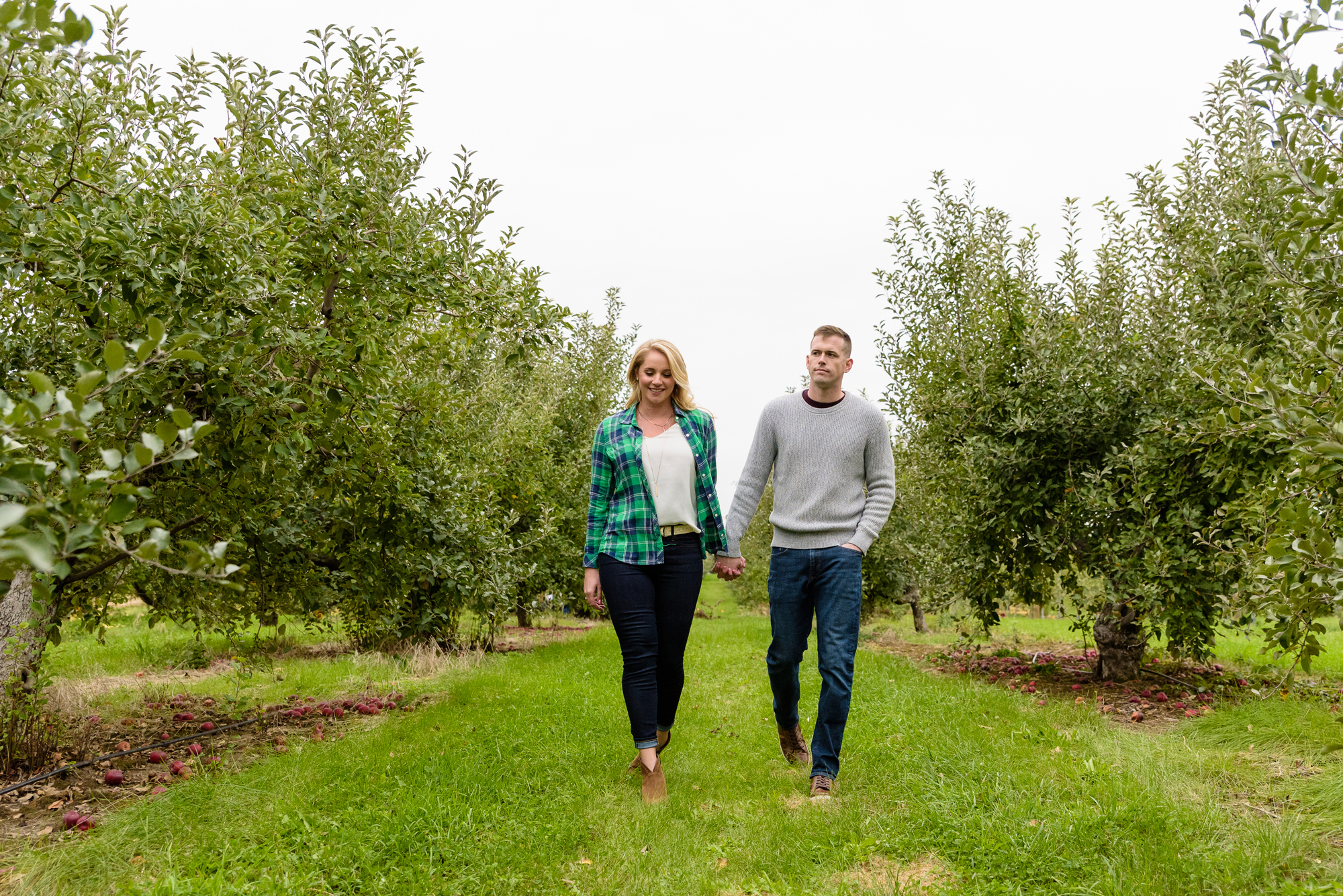 Engaged couple picking apples at Curtis Orchard and Pumpkin Patch in Champaign, IL