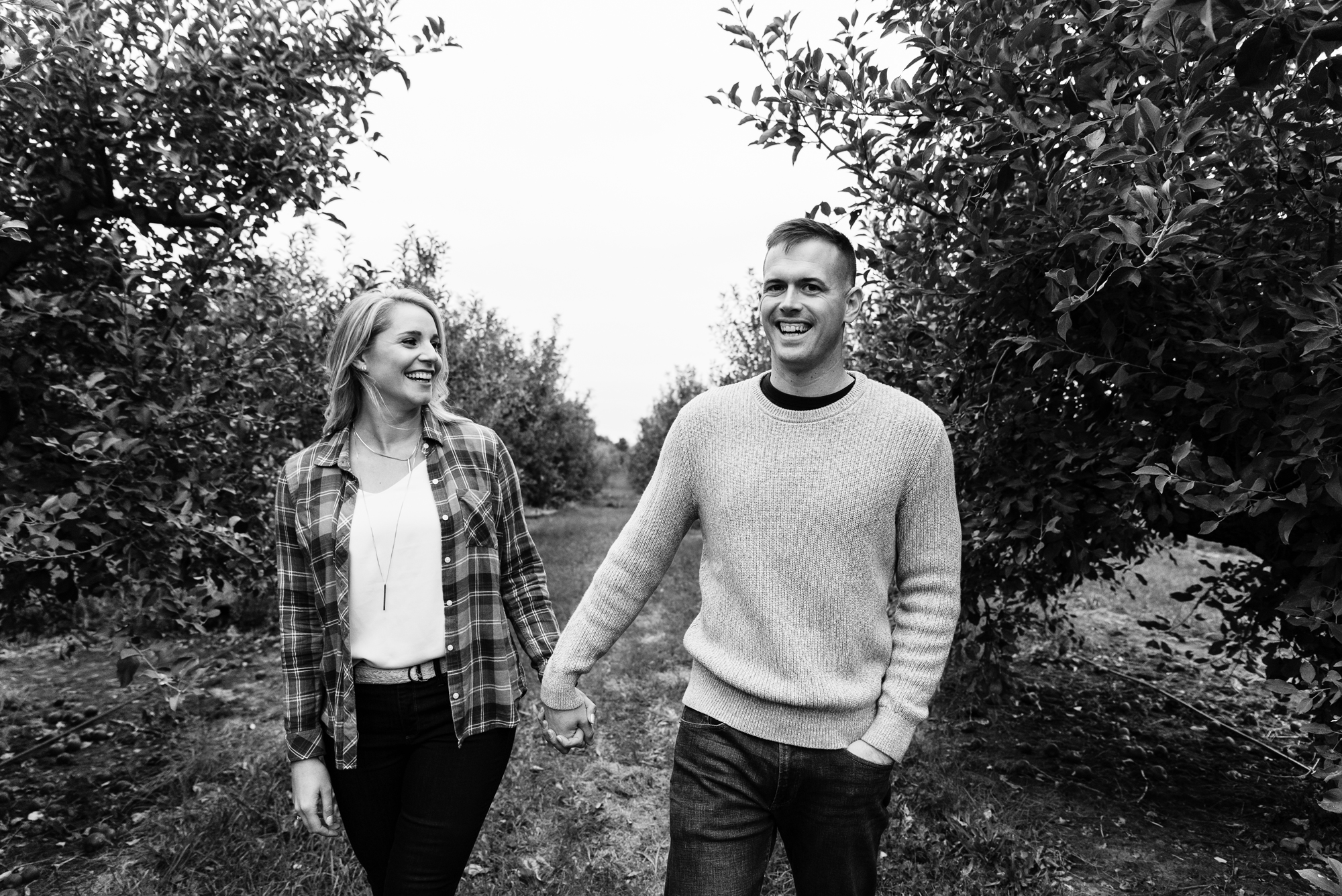 Engaged couple picking apples at Curtis Orchard and Pumpkin Patch in Champaign, IL