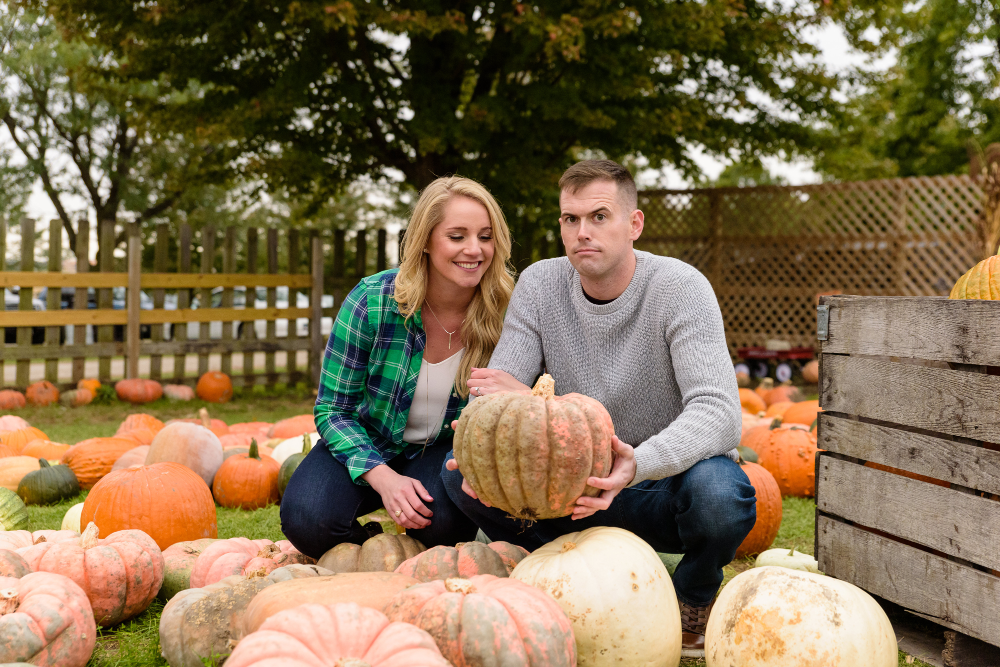 Engaged couple in the pumpkin patch  at Curtis Orchard and Pumpkin Patch in Champaign, IL