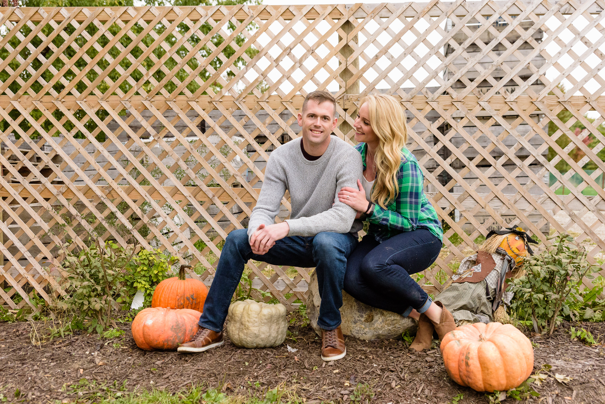 Engaged couple in the pumpkin patch  at Curtis Orchard and Pumpkin Patch in Champaign, IL