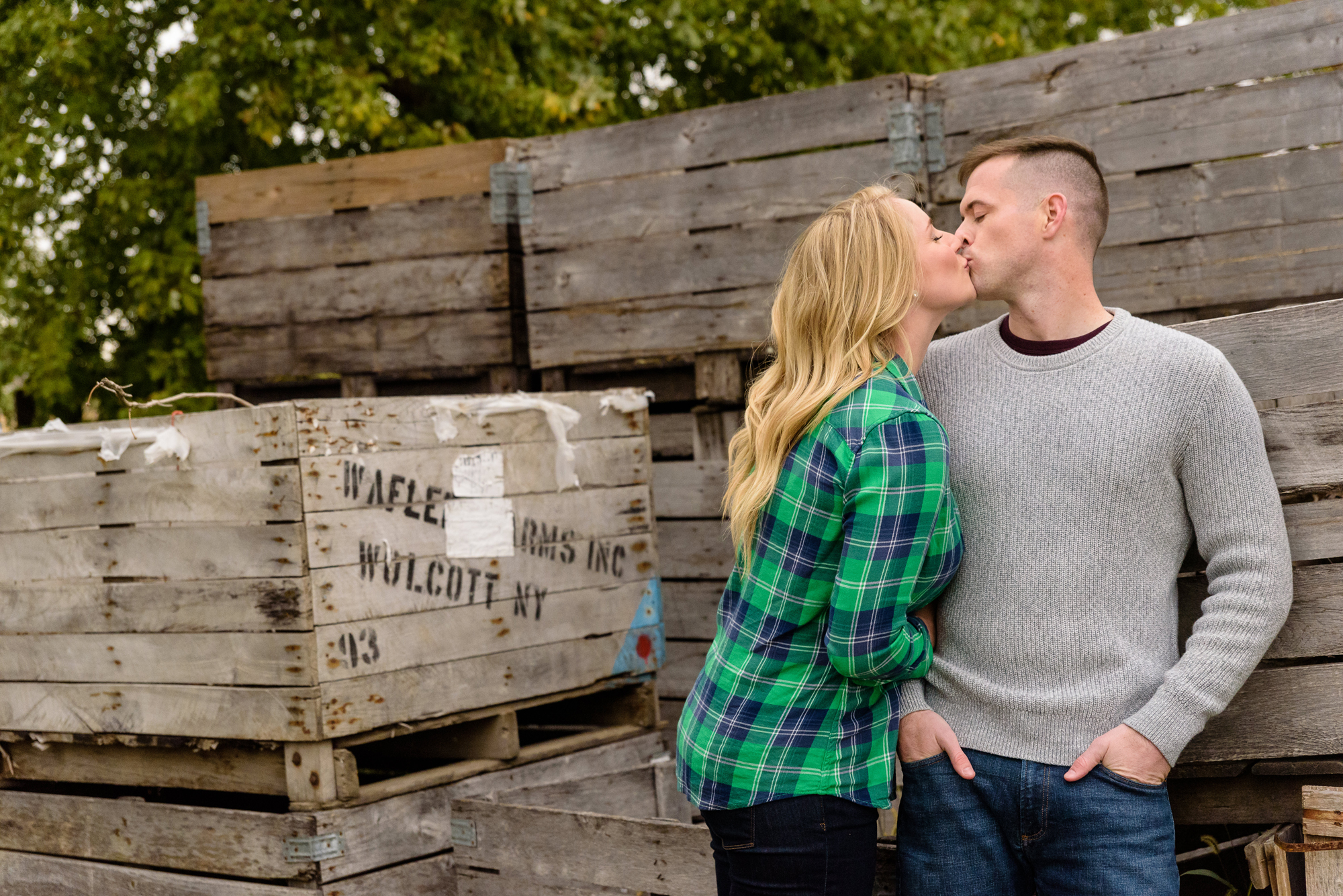 Engaged couple in the pumpkin patch at Curtis Orchard and Pumpkin Patch in Champaign, IL