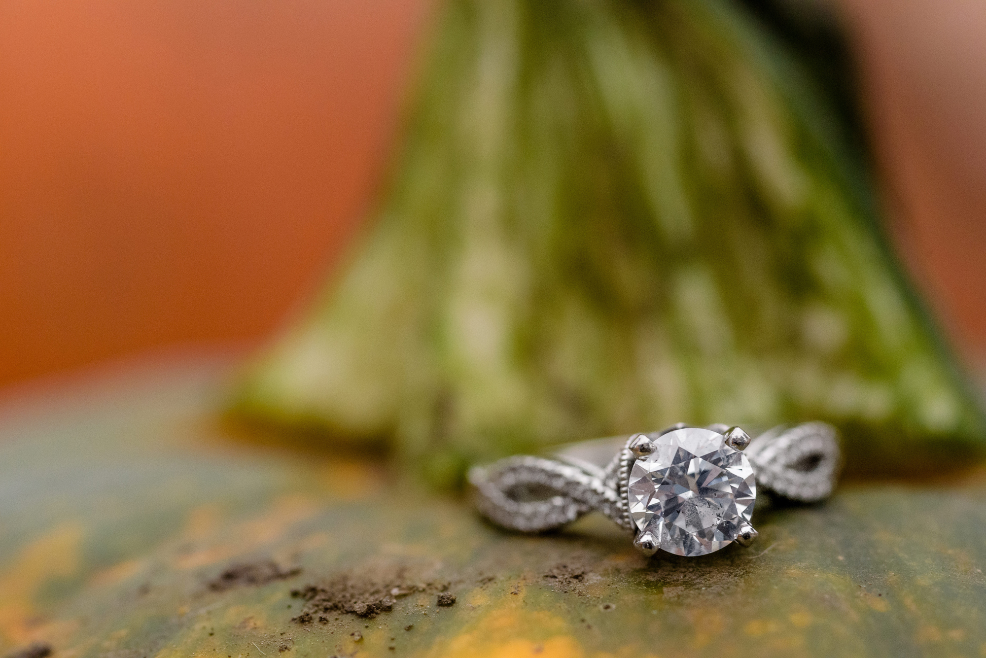 Engaged couple in the pumpkin patch  at Curtis Orchard and Pumpkin Patch in Champaign, IL