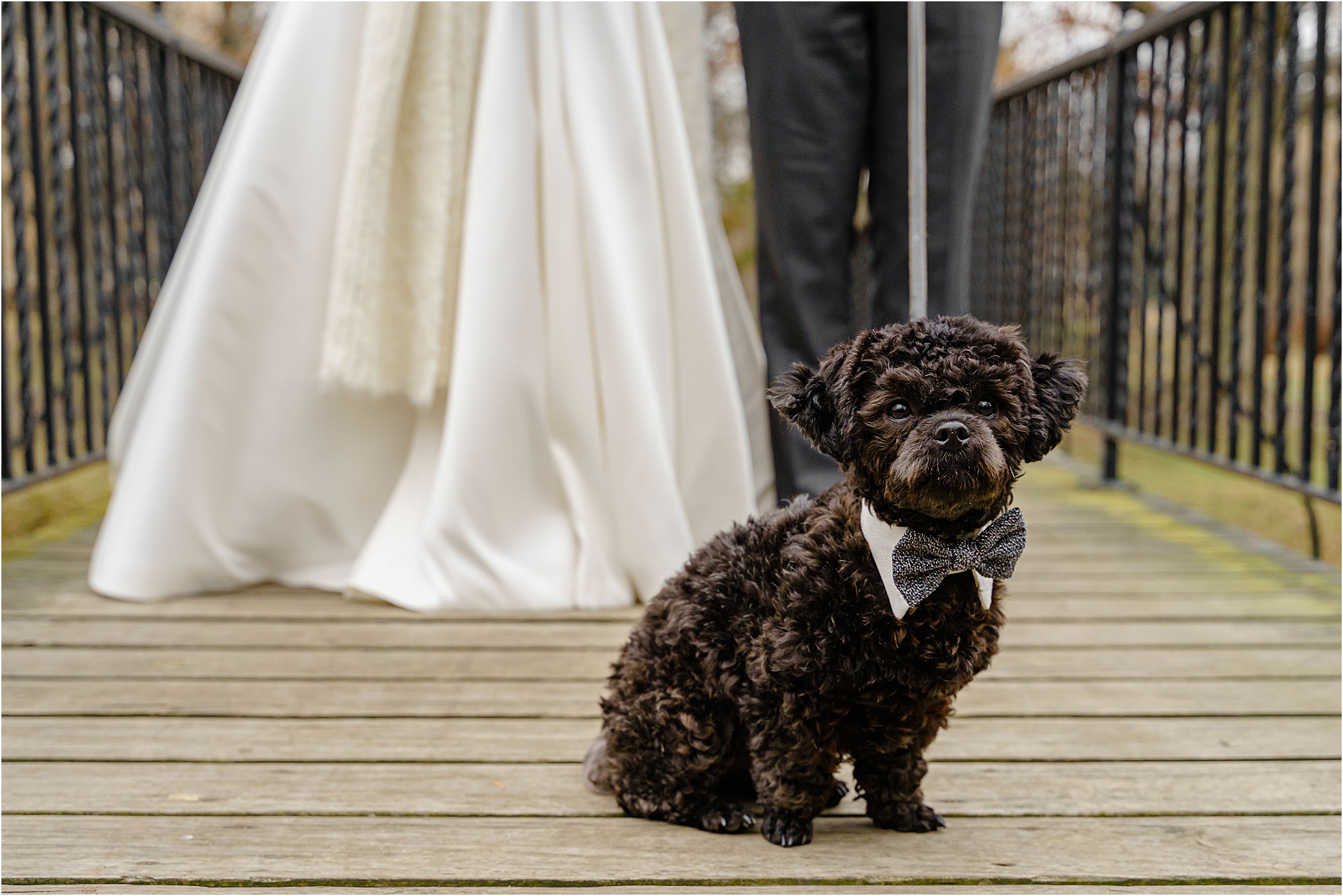 020-Caitlin-Kevin-Katie-Whitcomb-Photography-classic-elegant-saint-marys-winter-wedding-bridge-portraits.jpg